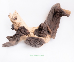DECO NATURE MOPANE WOOD - Натуральная коряга африканского дерева мопани от 15 до 19 см