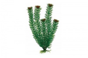 Пластиковое растение Plant 002 - Амбулия ЗЕЛЕНАЯ, 50 см